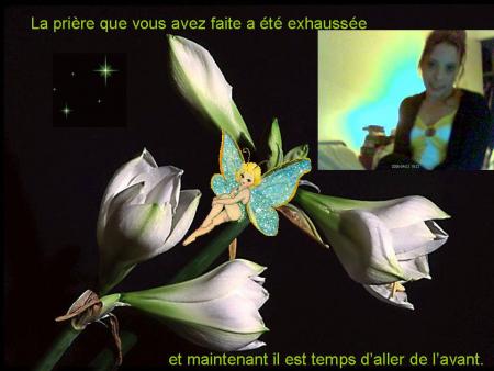 c  mon ange  gardien