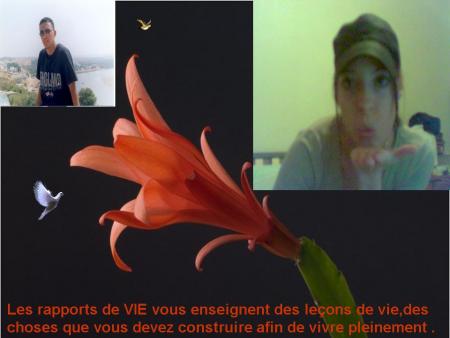 c  mon  amour