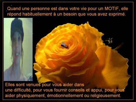 c  mon  amour